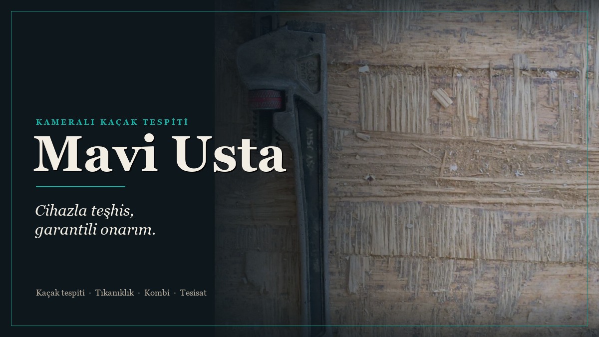 Mavi Usta Su Tesisat web sitesi kapağı