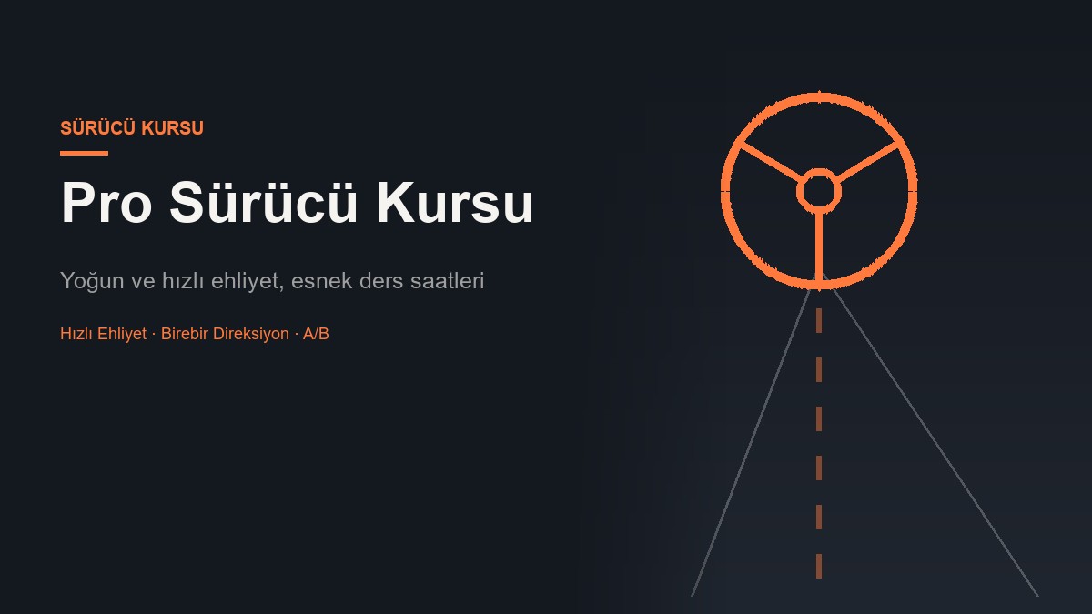 Pro Sürücü Kursu web sitesi ana sayfa görünümü